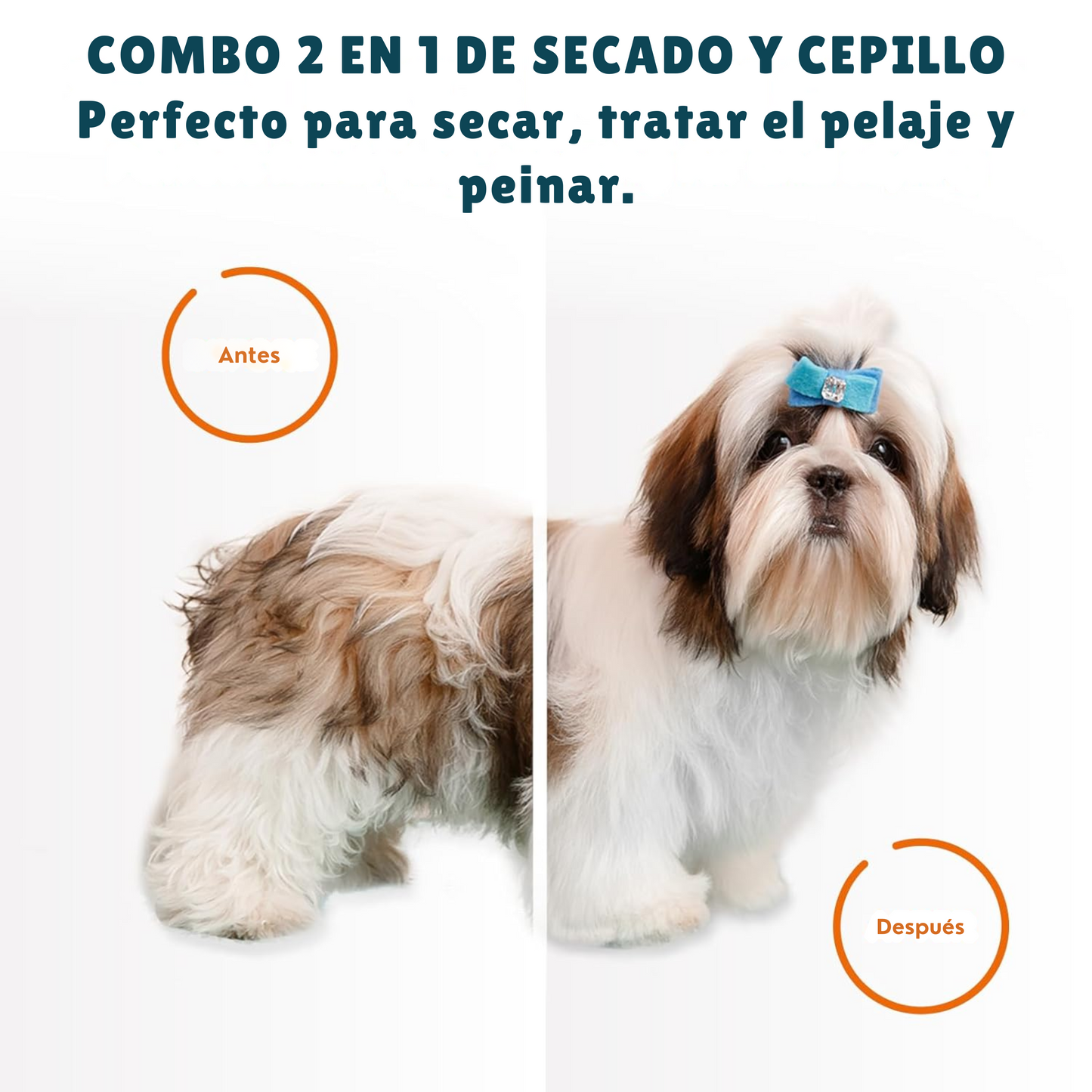 Zunko Petsense™ – Cuídalos como se merecen
